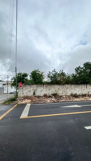 TERRENO VENTA MERIDA,  SAN RAMON NORTE IDEAL PARA DESARROLLO PREMIUM