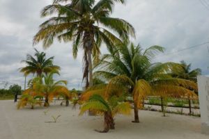 Rento casa en la playa en Chicxulub Puerto