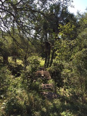 TERRENO EN VENTA EN LAS HUERTAS, LOS CAVAZOS, CARRETERA NACIONAL