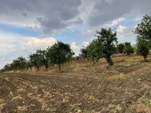 Terreno en huejotzingo