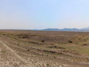 PACHUCA VENDE TERRENO 5 HECTAREAS EN VILLA DE TEZONTEPEC HIDALGO