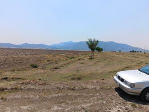 PACHUCA VENDE TERRENO 5 HECTAREAS EN VILLA DE TEZONTEPEC HIDALGO