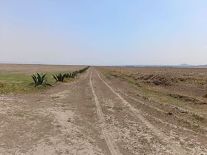 PACHUCA VENDE TERRENO 5 HECTAREAS EN VILLA DE TEZONTEPEC HIDALGO