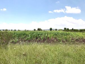 Terreno en Venta San Miguel de Allende