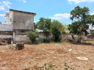 Terreno con casa en venta en colonia Garcia Gineres
