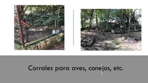 Parque Aak , al norte de Mérida,  casa y terreno con  palapas