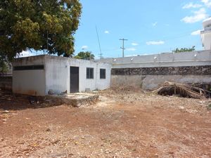 Terreno con casa en venta en colonia Garcia Gineres