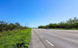 Venta de terreno irregular sobre carretera  de Baca a  Motul