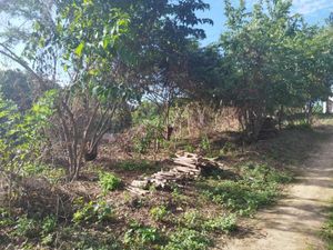 Terreno en Venta en Techal Blanco Santa María Huatulco