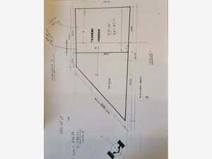 Terreno en Renta en San Isidro Saltillo