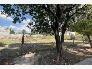 Terreno en Venta en Campestre Capellania Saltillo