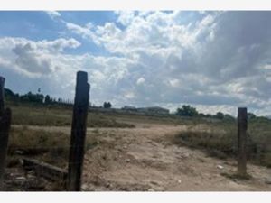 Terreno en Venta en Torrecillas y Ramones Saltillo