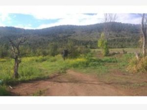 Terreno en Venta en Jame Arteaga