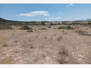 Terreno en Venta en San Antonio de las Alazanas Arteaga