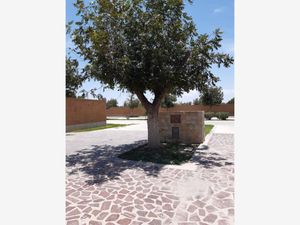 Terreno en Venta en La Barranca Torreón