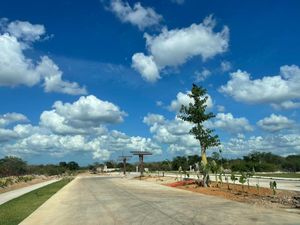 TERRENO EN VENTA EN MÉRIDA, CABO NORTE