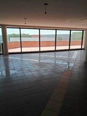 Oficina en renta Av. Zaragoza de 241 m2