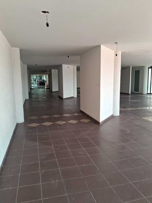 Oficina en renta Av. Zaragoza de 241 m2