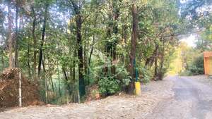 Terreno en Col. del Bosque con vista a los volcanes