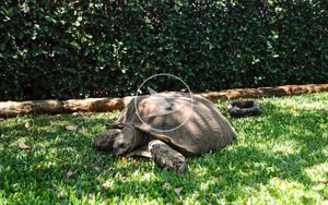 Finca Tortuga en Real de Tezoyuca