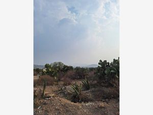 Terreno en Venta en San Juan Tilcuautla San Agustín Tlaxiaca