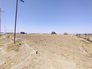 Terreno en Venta en San José Palma Gorda Mineral de la Reforma