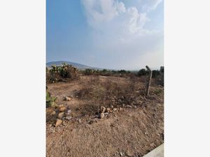 Terreno en Venta en San Juan Tilcuautla San Agustín Tlaxiaca