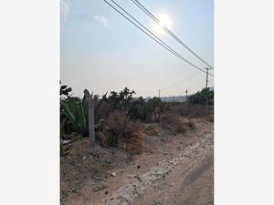 Terreno en Venta en San Juan Tilcuautla San Agustín Tlaxiaca