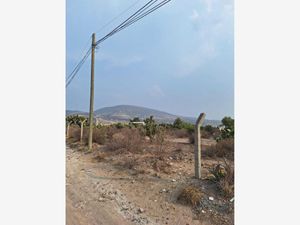 Terreno en Venta en San Juan Tilcuautla San Agustín Tlaxiaca