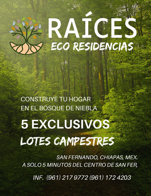 En VENTA 5 Lotes Ecológicos