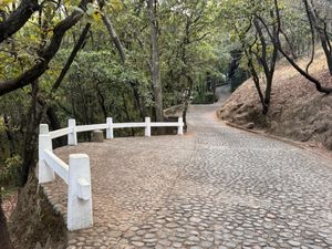 Mirador que da al bosque con cañada.