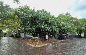 Terreno en Esquina en Residencial  Las Parotas, Colima