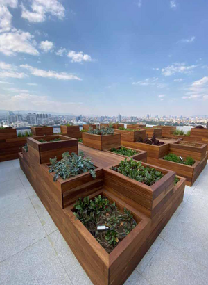 Huerto  en Roof Garden