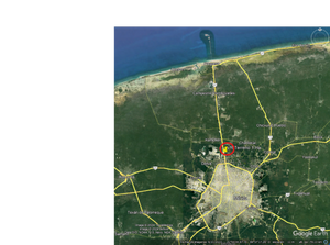 Renta de Terreno sobre carretera Mérida-Progreso