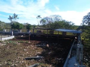 Excelente oportunidad Rancho Las Potrankas, en Tepakán, Yucatán