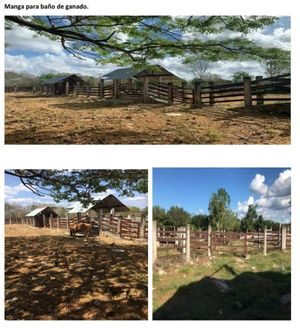 Excelente oportunidad Rancho Las Potrankas, en Tepakán, Yucatán