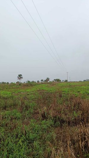 Venta de Rancho de 200 Has. al norte de Tizimín, Yucatán