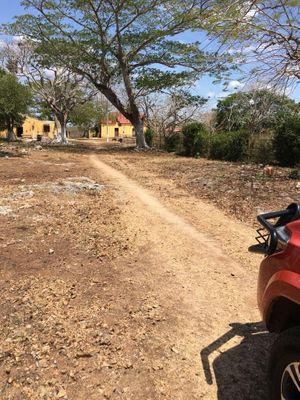 Excelente oportunidad Rancho Las Potrankas, en Tepakán, Yucatán