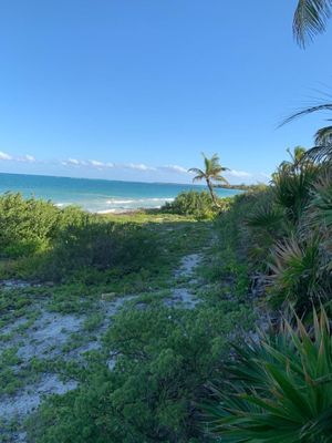 Se vende increíble terreno a orilla del mar en Boca Paila, Tulum, Q. Roo