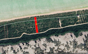 Venta terreno a orilla del mar en Sisal, Yucatán