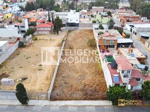 TERRENO EN VENTA UBICADO EN LA TRINIDAD TEXCOCO