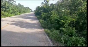 TERRENO DE 2.5 HECTAREAS EN LA RIVIERA MAYA "RUTA DE LOS CENOTES""