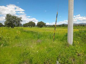 VENDO TERRENO EN ZONA DE CRECIMIENTO  CON SERVICIOS EN LA ZONA