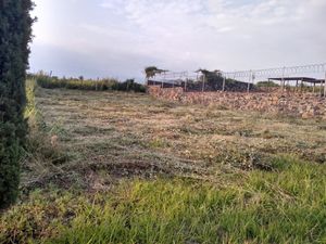 VENTA DE TERRENO EN FRACCIONAMIENTO PRIVADO EN TLAYACAPAN, MORELOS