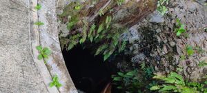 CASA CON CENOTE EN CANCÚN