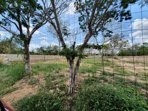 Terreno en Cholul