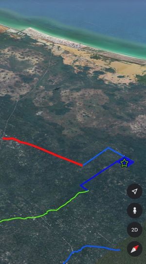 2 Hectáreas en Venta zona de Sisal para Inversión a largo plazo