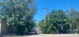 Terreno en venta de 5 hectáreas en Temozón Norte, Mérida, Yucatán.