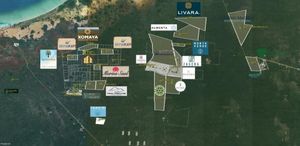 2 Hectáreas en Venta zona de Sisal para Inversión a largo plazo