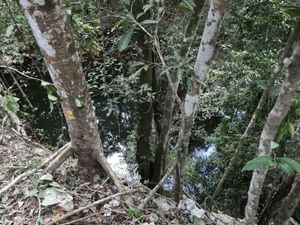 TERRENO CON CENOTE AL DESCUBIERTO A 25 MINUTOS DE VALLADOLID